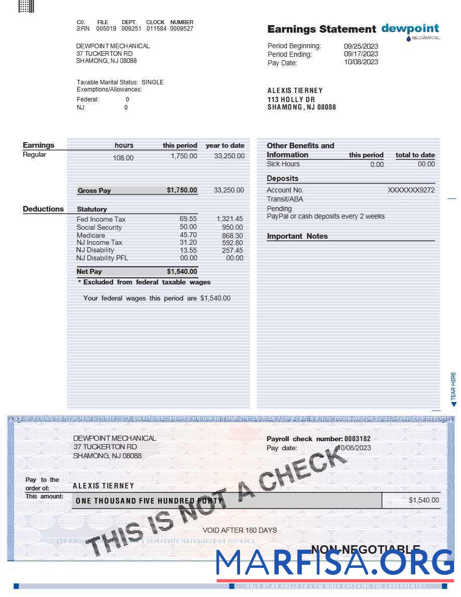 Printable Dewpoint mechanical earnings statement real example